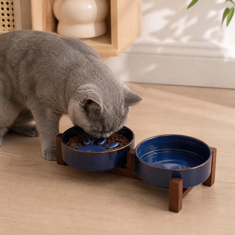 2027 Japanese-style Kiln Ceram - Royal Canin Food Medium recension och pris